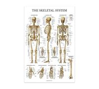 El cuerpo, anatomía Facial, vasos musculares, lienzo detallado, pintura, estructura humana, esqueleto, póster educativo, decoración médica(13,20X30cmUnframed)