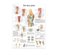 El cuerpo, anatomía Facial, vasos musculares, lienzo detallado, pintura, estructura humana, esqueleto, póster educativo, decoración médica(9,30X45cmUnframed)