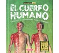 El cuerpo humano (Maquetas 3D)