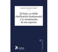 El da¤o, su doble clasificaci¢n fundamental y la vertebraci¢n de sus especies: Modelos de ciudad, poder local y sostenibilidad energética (CUADERNOS DE DERECHO DE DA?OS)