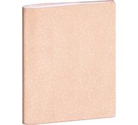 El Delfín - Ref. 52042D - Cartón de 30 cuadernos de enlace, dimensiones 17 x 22 cm, 72 páginas, con 35 páginas para la correspondencia entre la escuela y la familia del alumno, tapa blanda azul