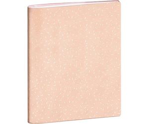 El Delfín - Ref. 52042D - Cartón de 30 cuadernos de enlace, dimensiones 17 x 22 cm, 72 páginas, con 35 páginas para la correspondencia entre la escuela y la familia del alumno, tapa blanda azul