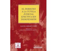 El derecho a la tutela judicial efectiva sin indefensión: Colección Panoramas de Derecho (11) (Monografía)