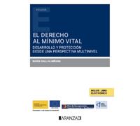 Derecho Al Mínimo Vital. Desarrollo Y Protección Desde Una Perspectiva