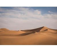 El Desierto sin límites - Rompecabezas de 8000 Piezas para Adultos: Rompecabezas desafío Mental 14+