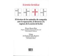 El Destino De Los Animales De Compañía Ante La Separación El Divorcio