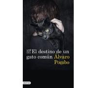 El destino de un gato común
