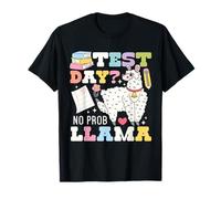 El día del examen No hay problema con llama, regalos divertidos para el día del examen para profesores Camiseta