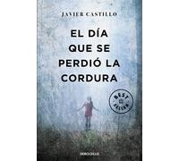 El día que se perdió la cordura | Javier Castillo