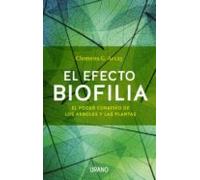 El Efecto Biofilia: El Poder Curativo De Los Arboles Y Las Plantas