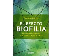 El Efecto Biofilia: El Poder Curativo De Los Arboles Y Las Plantas