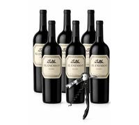 El Enemigo Malbec 750 ml - Pack 6 Botellas + Sacacorchos Profesional de Regalo | Vino Tinto Mendoza Argentina
