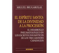 El Espíritu Santo: de la divinidad a la procesión (Colección teológica)