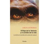 El flujo de la historia y el sentido de la vida