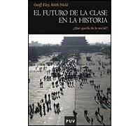 El futuro de la clase en la Historia: ¿Qué queda de lo social?: 105