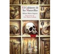 el gabinete de las maravillas (serie isidoro montemayor 2)