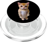El Gato Meme Gato Llorando Triste Munchkin Kitty Meme Moda PopSockets PopGrip para MagSafe