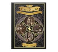 El gato negro y otros cuentos de imaginación y misterio: IV (Maestros del fantástico)
