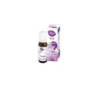 Aceite esencial eucalipto 12 ml Granero - aroma fresco y purificante