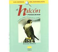 EL HALCON PEREGRINO (GUIAS DEL NATURALISTA-SENDAS DEL NATURALISTA)