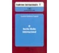 El Hecho Ilicito Internacional (cuadernos Internacionales Nº 5)