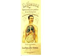 EL HOMBRE. REPRESENTACIÓN GRÁFICA DE SU ESTRUCTURA EN CINCO LÁMINAS SOBREPUESTAS