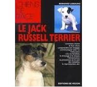El jack russell terrier