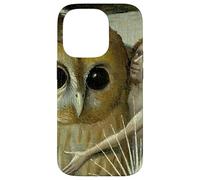 El jardín de Las delicias terrenales Carcasa para iPhone 14 Pro