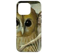 El jardín de Las delicias terrenales Carcasa para iPhone 16 Pro