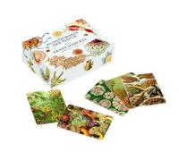 El Juego de Notas Ernst Haeckel: Formas de Arte de la Naturaleza (con folleto)