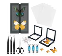 El kit de muestras de mariposa incluye pines, tablero de montaje, herramientas de extensión, vitrina, etiquetas, fórceps, preservación y exhibición de especímenes de mariposa. (kit de caja de