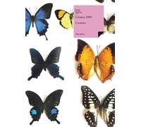 El licenciado vidriera (Narrativa)