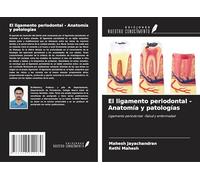 El ligamento periodontal - Anatomía y patologías: Ligamento periodontal -Salud y enfermedad