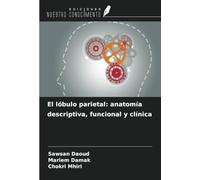 El lóbulo parietal: anatomía descriptiva, funcional y clínica