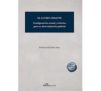 El lucro cesante: Configuración actual y criterios para su determinación judicial (SIN COLECCION)