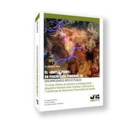 El "Match Point" en psicología forense (II): discapacidades intelectuales