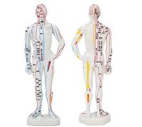 el Modelo de Acupuntura del Cuerpo Humano, el Modelo de Punto de Acupuntura Humano No Se Borrará para los Profesores de Acupuntura