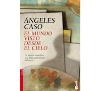 El mundo visto desde el cielo (Novela)