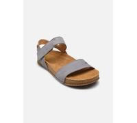 El Naturalista Balance N5790 40 Azul