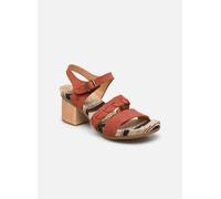 El Naturalista Deba N5560 38 Naranja