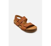 El Naturalista HORIZON N6003 38 Marrón