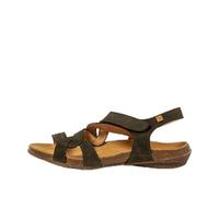 El Naturalista N5079 WAKATAUA