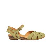 El Naturalista N5207 STELLA