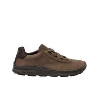 El Naturalista N5434 OROEL