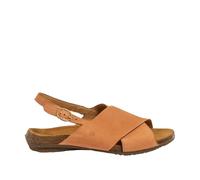 El Naturalista N5558 Wakataua