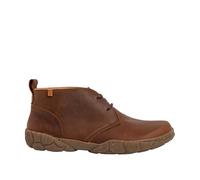 El Naturalista N5618 TURTLE