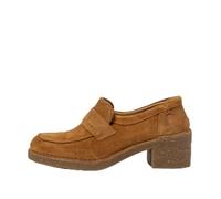 El Naturalista N5667 TICINO