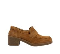 El Naturalista N5667 TICINO