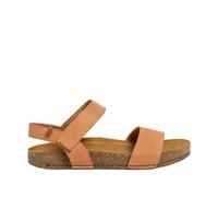 El Naturalista N5790 BALANCE