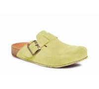 El Naturalista N5796 Balance